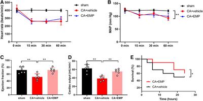 Sodium–Glucose Co-Transporter 2 Inhibition With Empagliflozin Improves Cardiac Function After Cardiac Arrest in Rats by Enhancing Mitochondrial Energy Metabolism